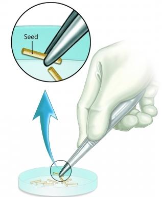 Rods for Internal Radiation